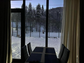 Bakuriani Didveli Residence C 16